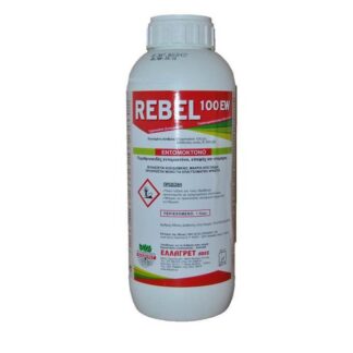 Rebel 100 EW 1Lt